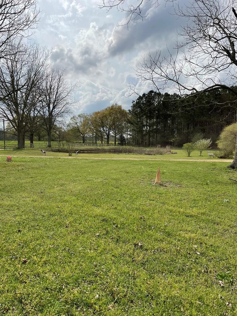 3687 East Lincoln Road Southeast Brookhaven, MS 39601 - Photo 9 of 24 Photo 9