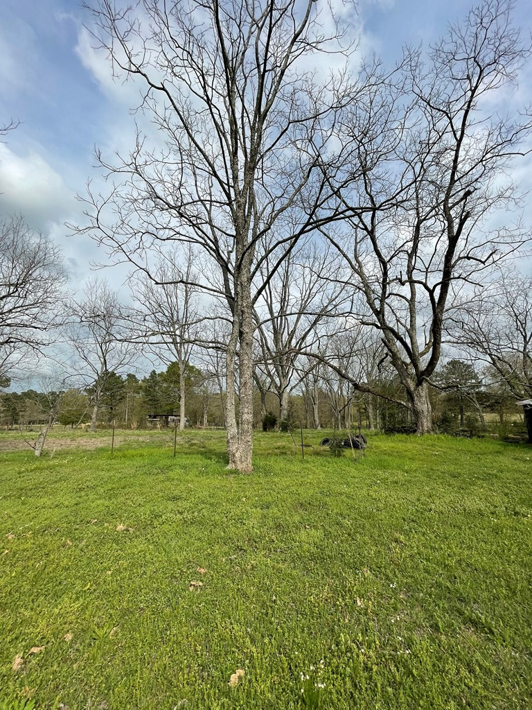 3687 East Lincoln Road Southeast Brookhaven, MS 39601 - Photo 10 of 24 Photo 10
