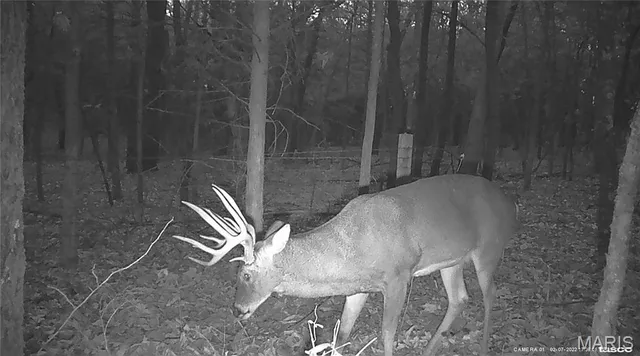 $349,900 | 3511 State Hwy H, Fulton, MO 65251