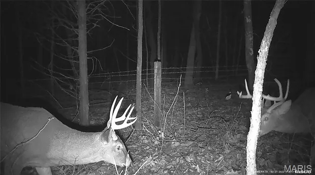 $349,900 | 3511 State Hwy H, Fulton, MO 65251