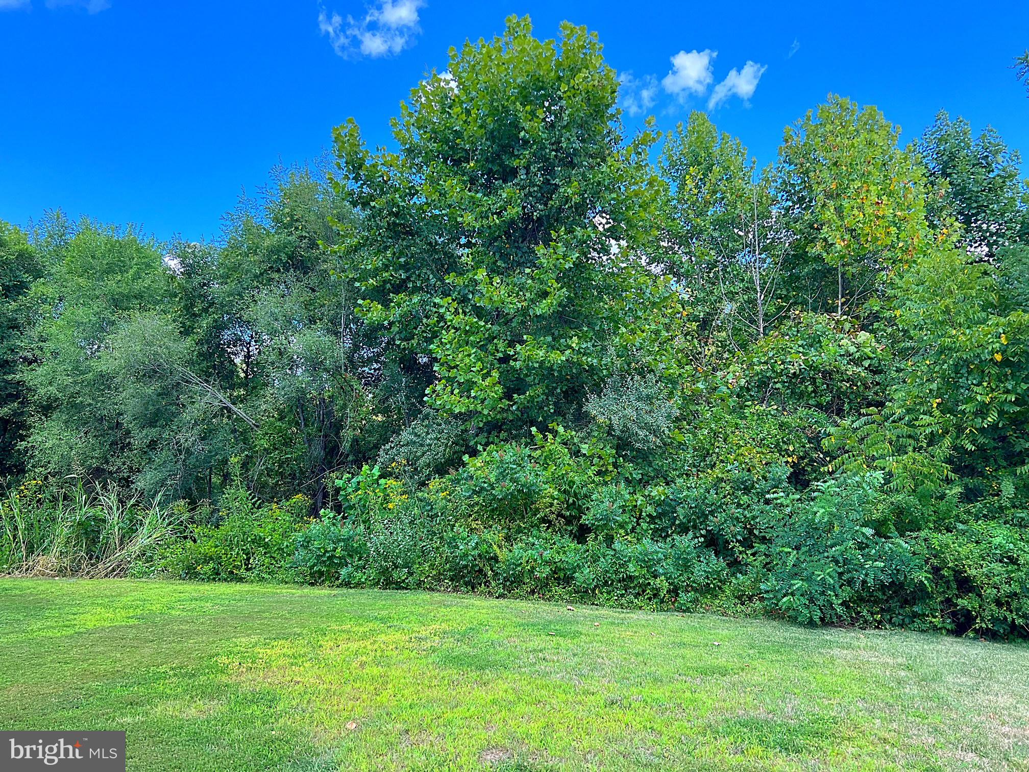 722 Saddlebrook Road Culpeper, VA 22701 - Photo 67 of 68