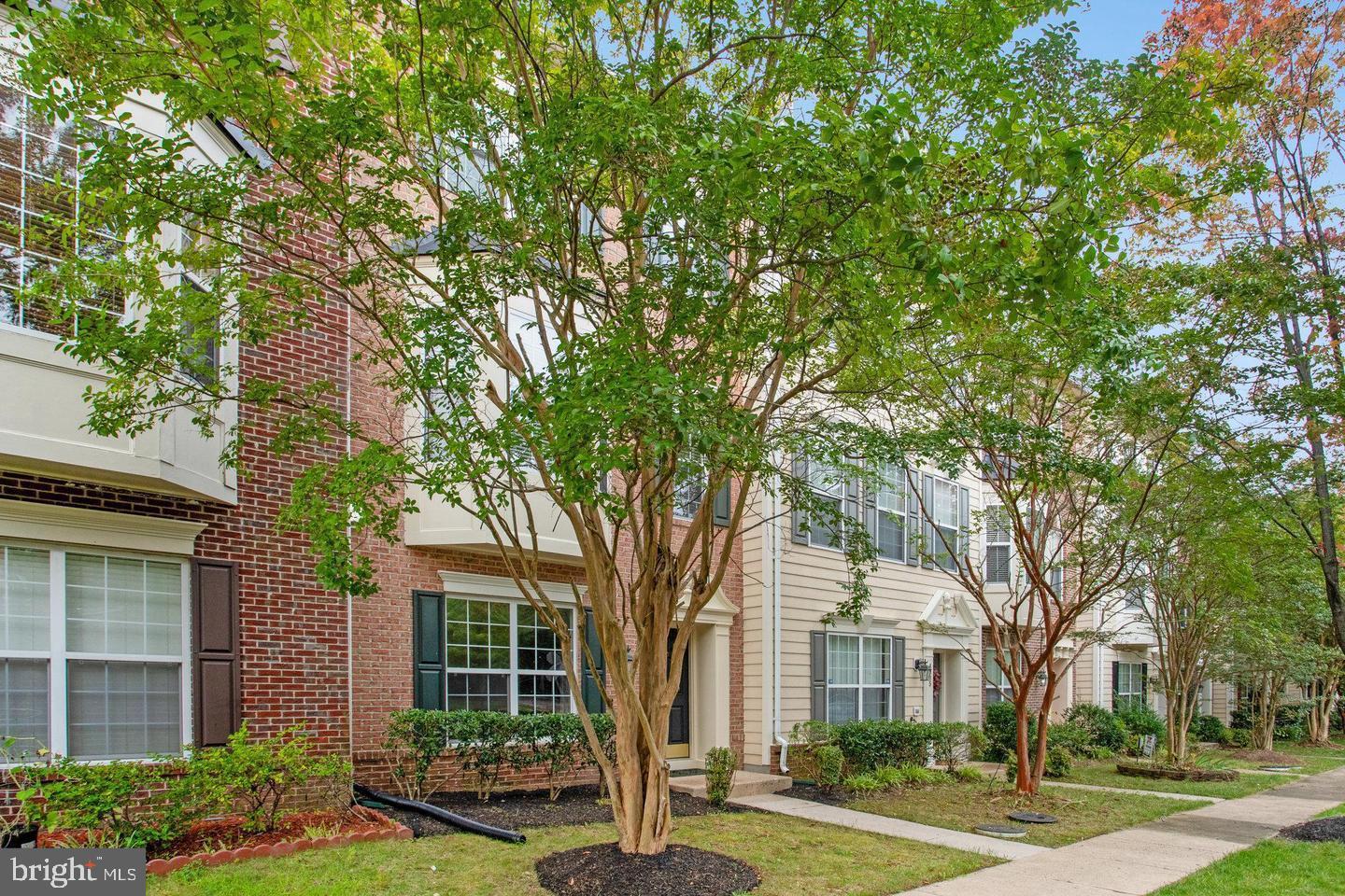 front view of a brick house with a large trees