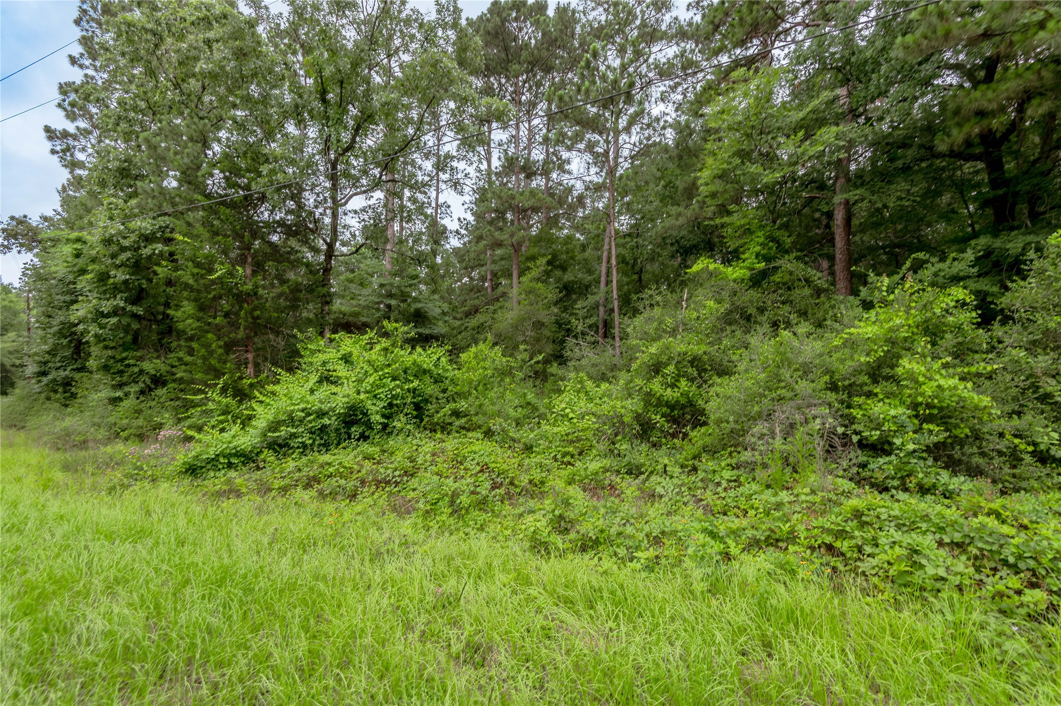 Lot 57 Post Oak Circle Trinity, TX 75862 - Photo 9 of 29