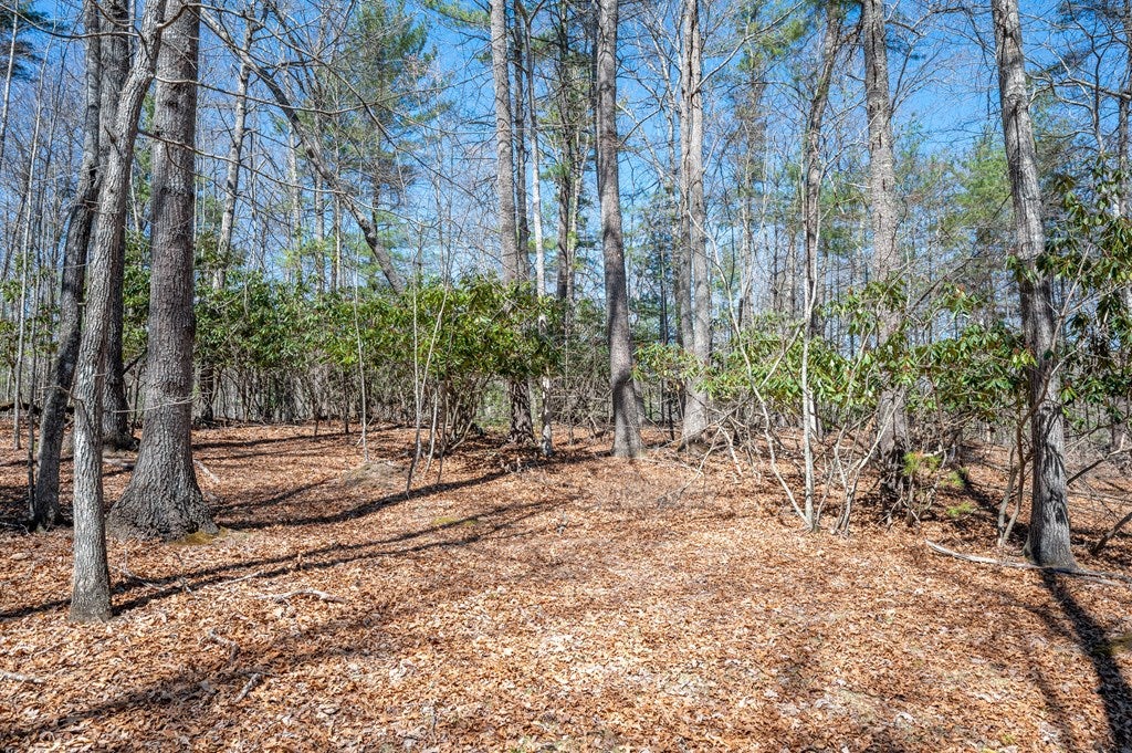 Lot 12 Ridge Line Trail, Unit 12 Independence, VA 24348 - Photo 24 of 66 Gallery Image 24