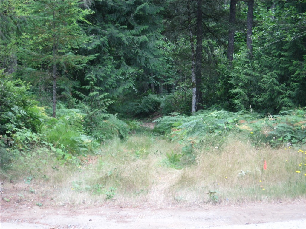 592 Southwest Wycoff Road Port Orchard, WA 98367 - Photo 1 of 1 Gallery Image 1