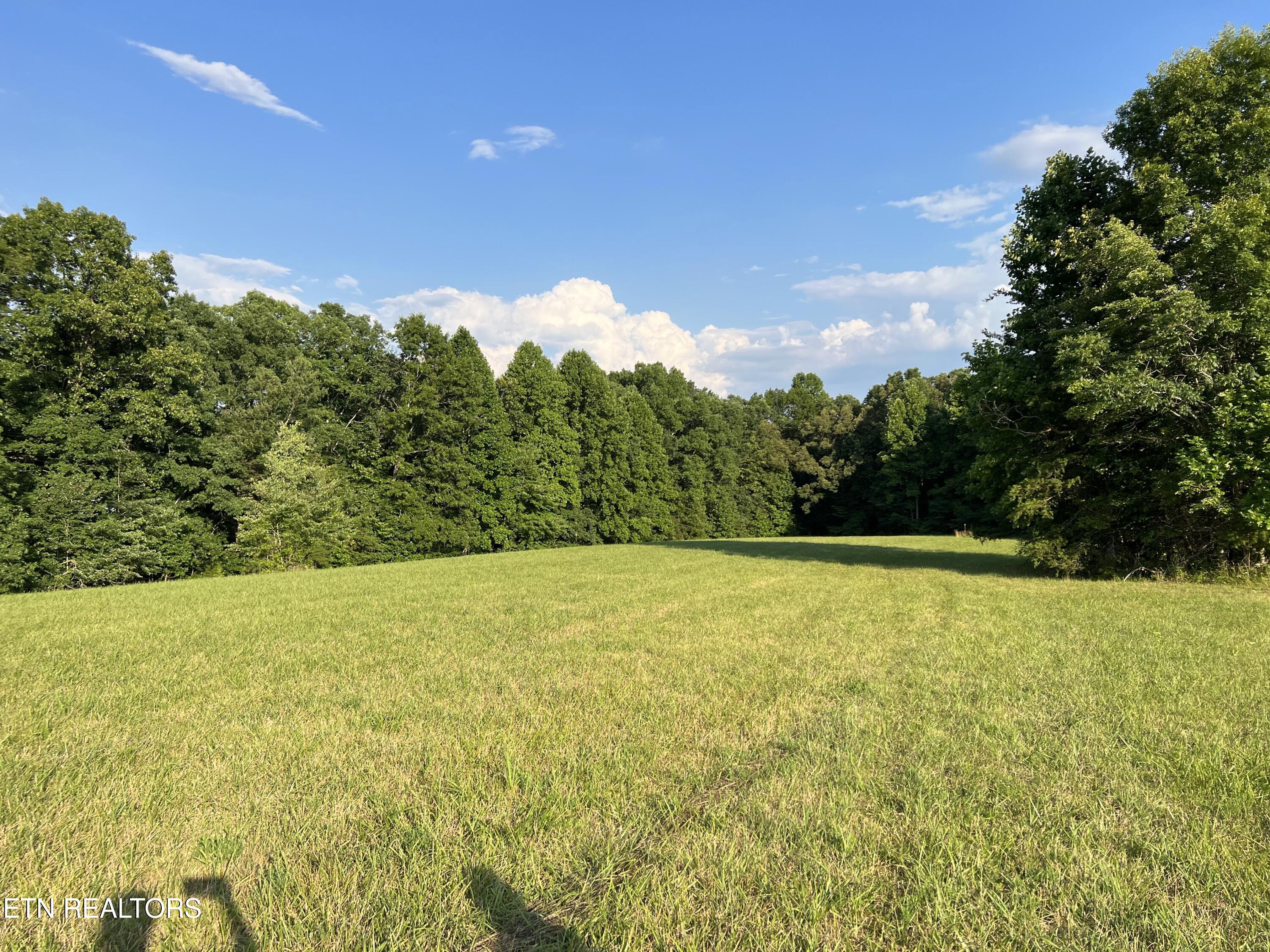 1759 Meister Hills Road Deer Lodge, TN 37726 - Photo 16 of 21 IMG_1332