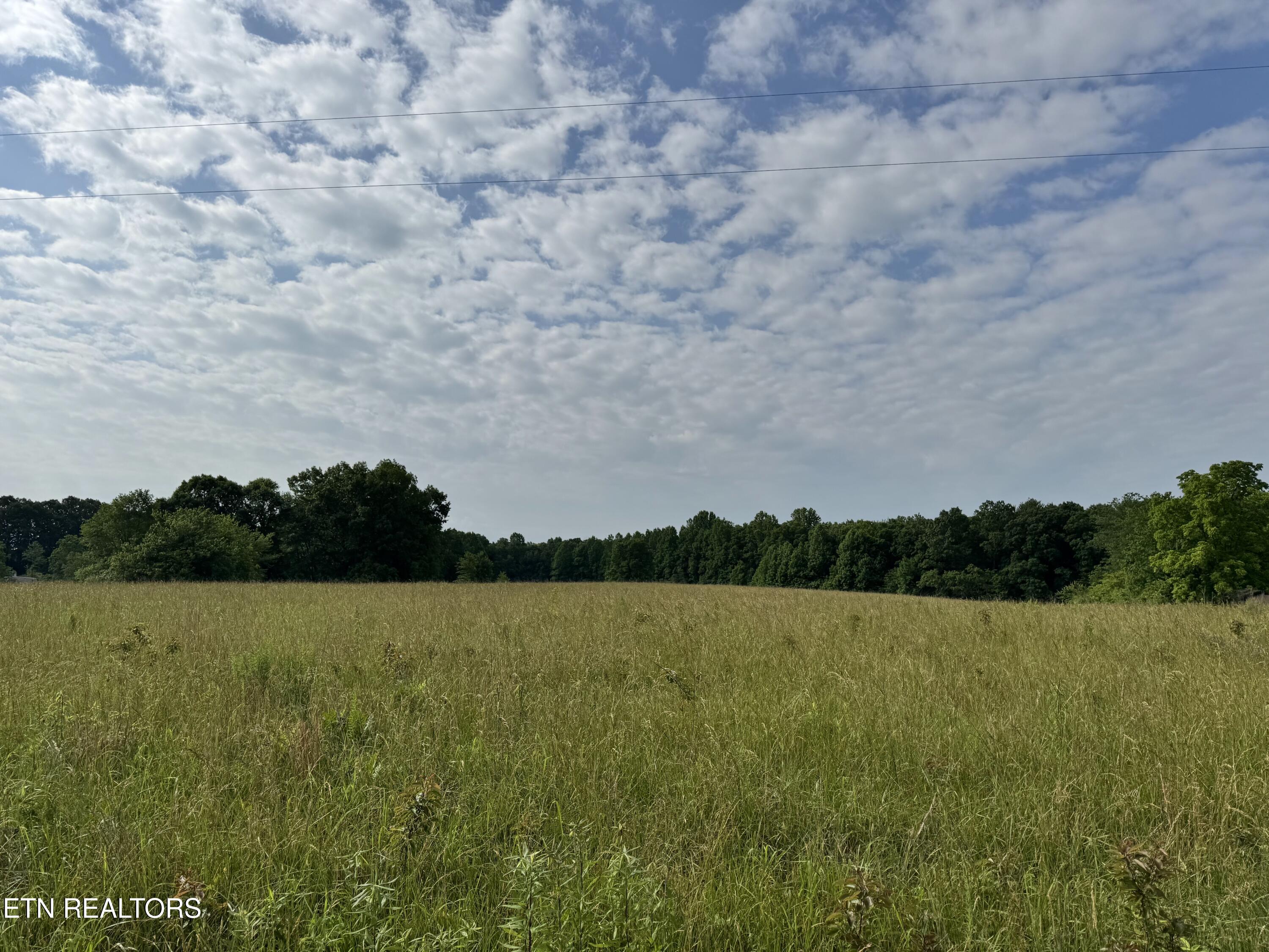 1759 Meister Hills Road Deer Lodge, TN 37726 - Photo 20 of 21 IMG_3655