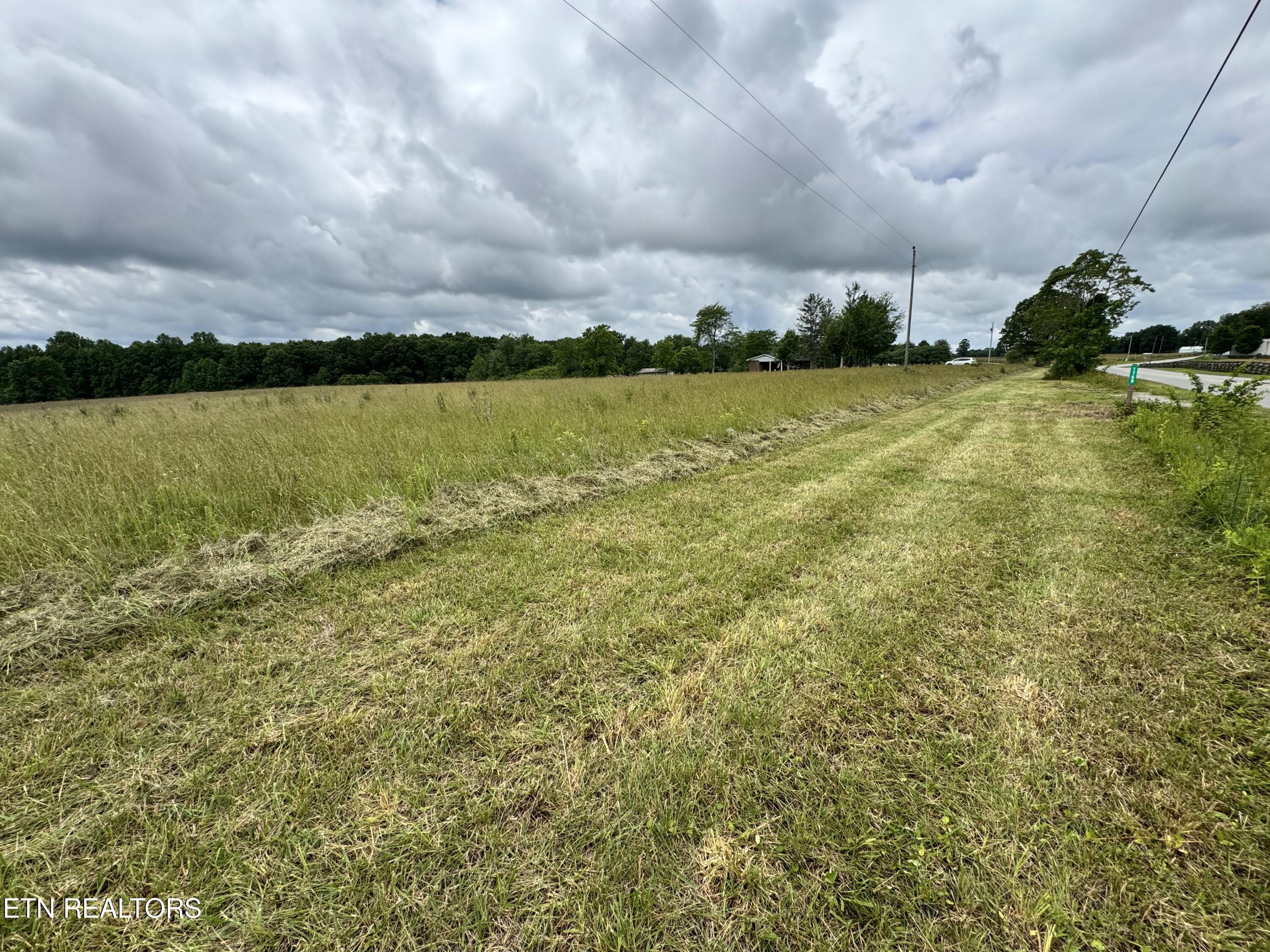 1759 Meister Hills Road Deer Lodge, TN 37726 - Photo 2 of 21 IMG_3676