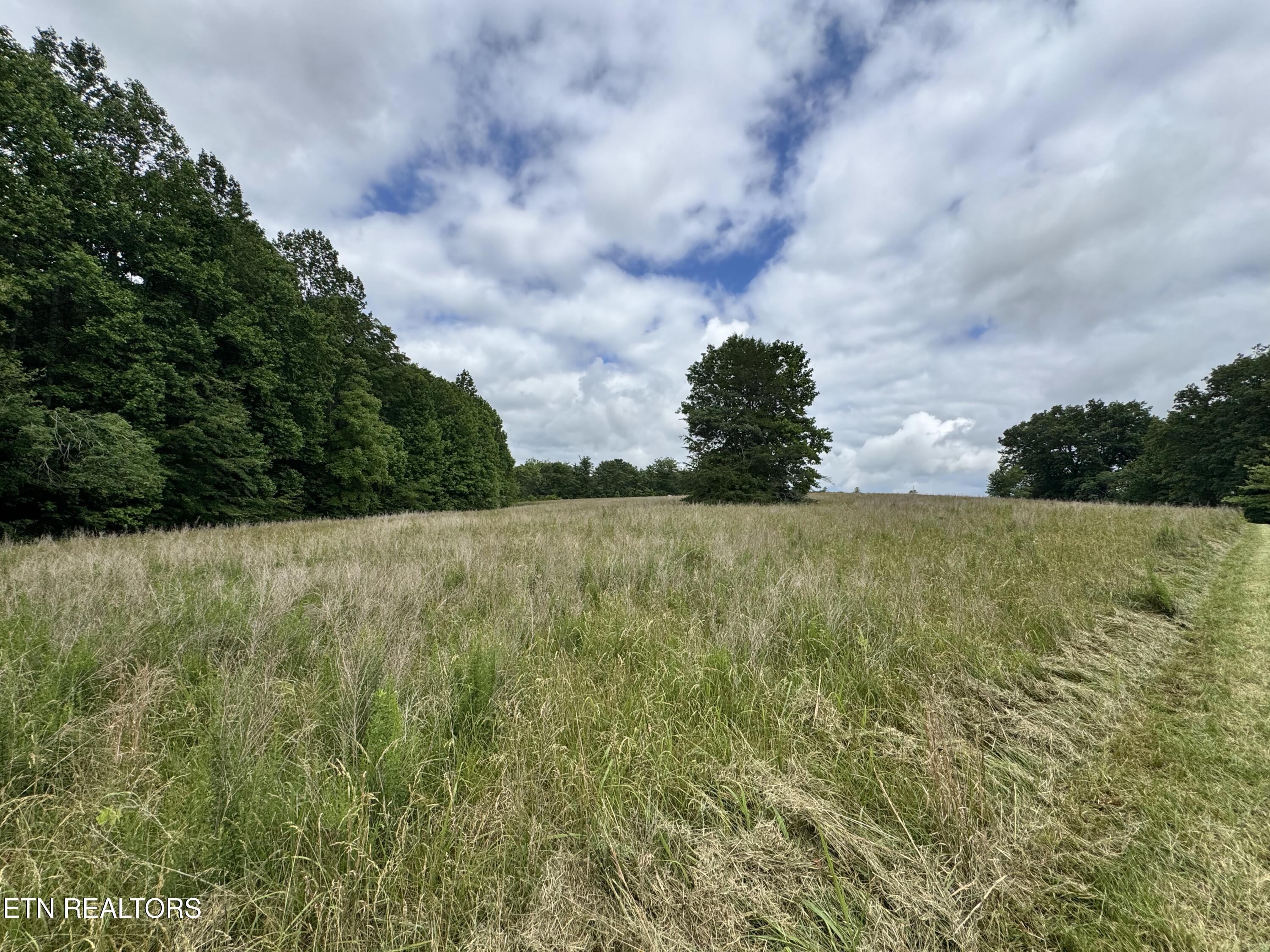 1759 Meister Hills Road Deer Lodge, TN 37726 - Photo 5 of 21 IMG_3672