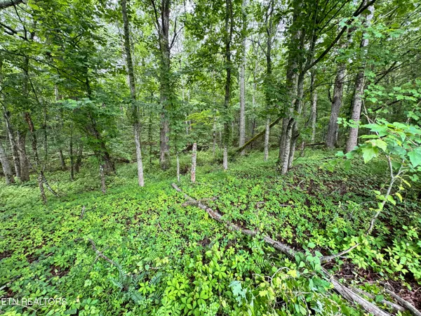 $175,000 | 1759 Meister Hills Road, Deer Lodge, TN 37726