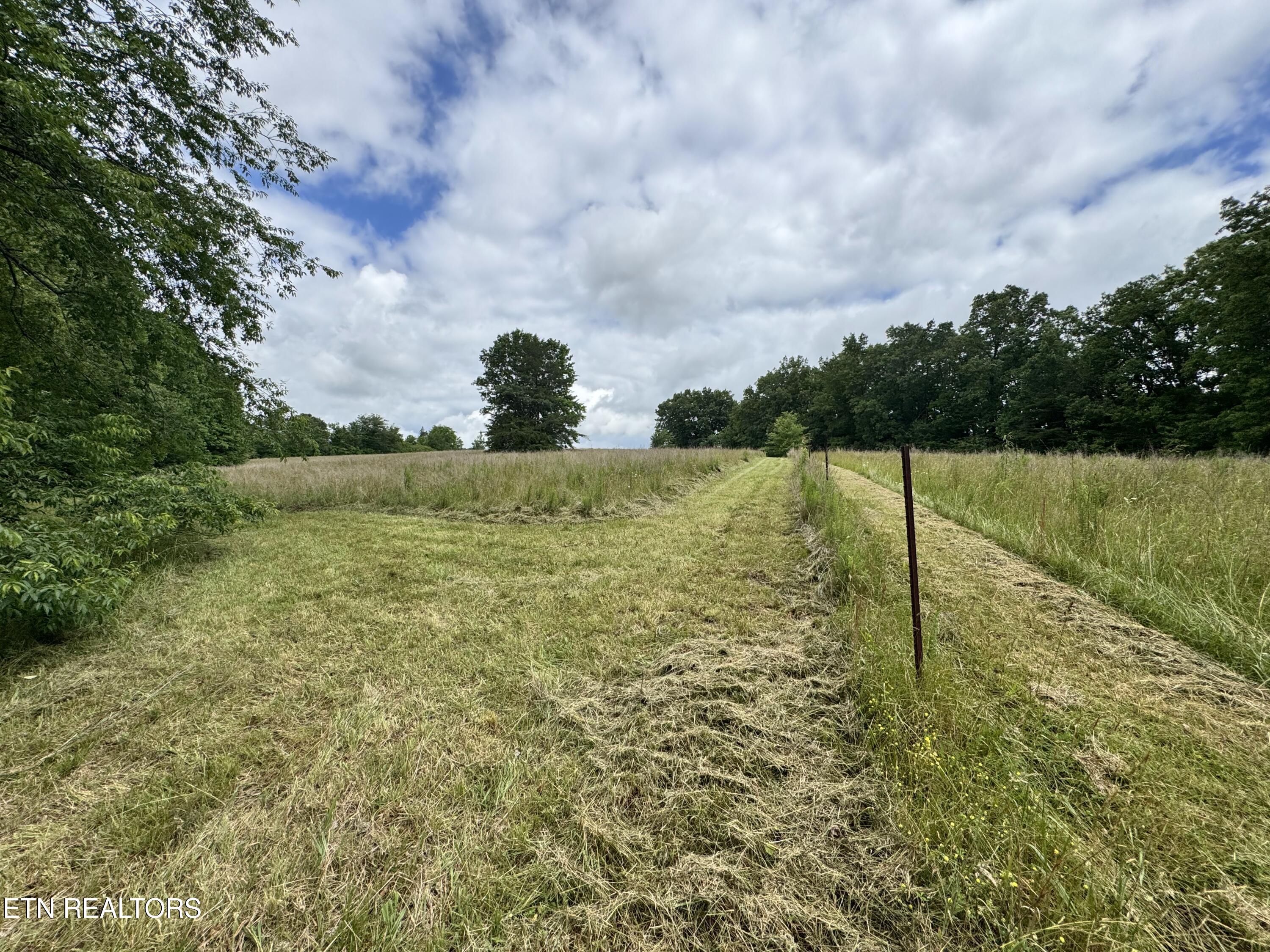 1759 Meister Hills Road Deer Lodge, TN 37726 - Photo 10 of 21 IMG_3671