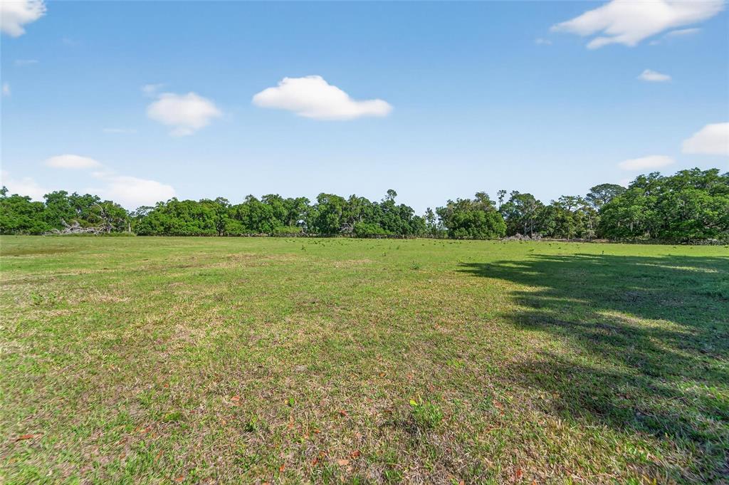 Carlton Road Dover, FL 33527 - Photo 57 of 63