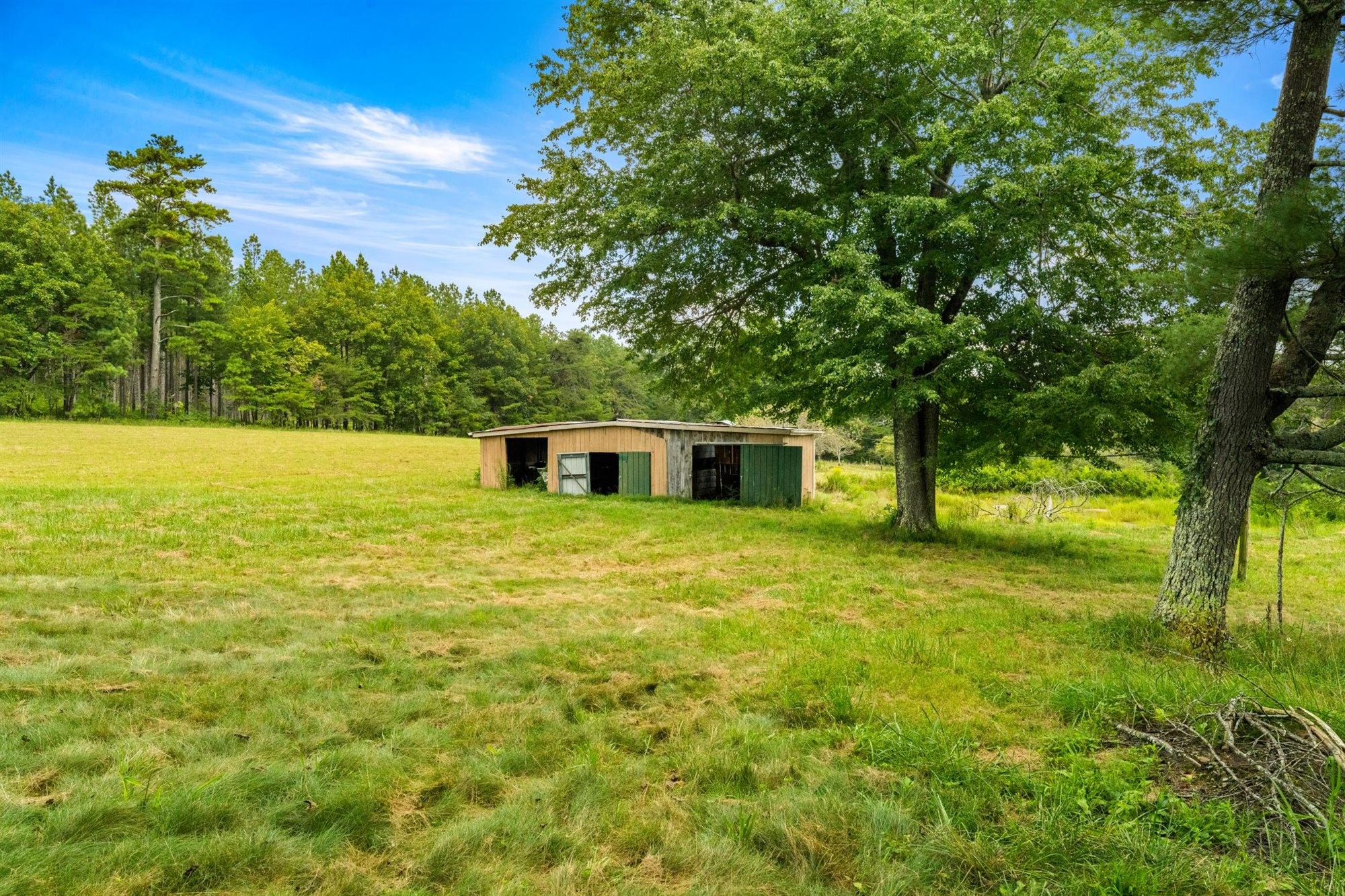290 Lawson Town Road Crossville, TN 38572 - Photo 31 of 38 a view of a large garden with plants and large trees