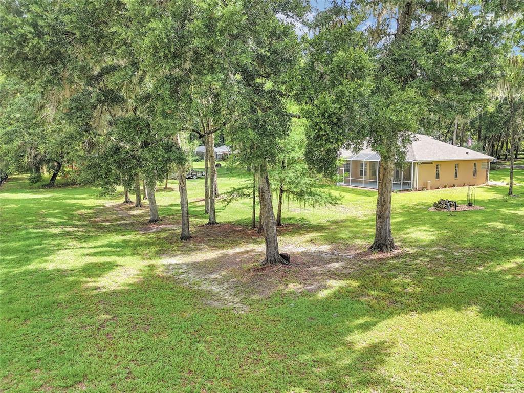 1989 Northwest 111th Loop Ocala, FL 34475 - Photo 51 of 55 a view of a trees in a yard with large trees