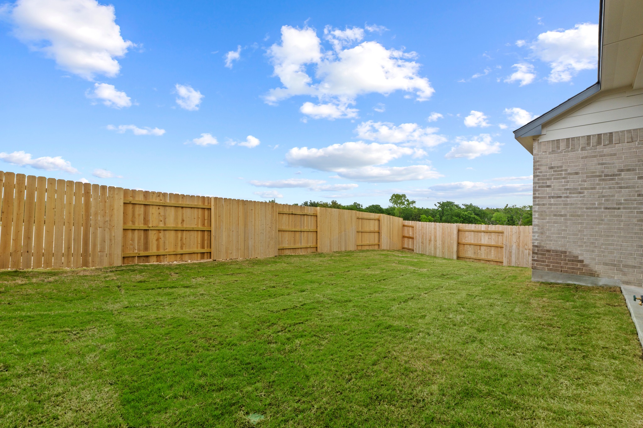 337 Horsemint Lane Georgetown, TX 78633 - Photo 29 of 35 Grass is digitally enhanced.