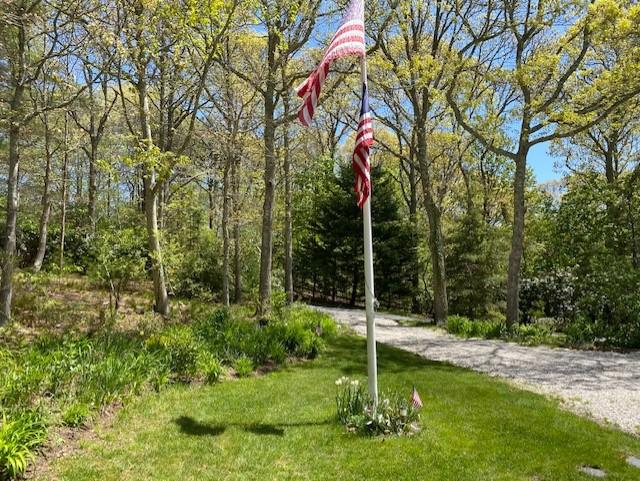 85 Beach Road Orleans, MA 02653 - Photo 14 of 26 a backyard of a house with lots of green space