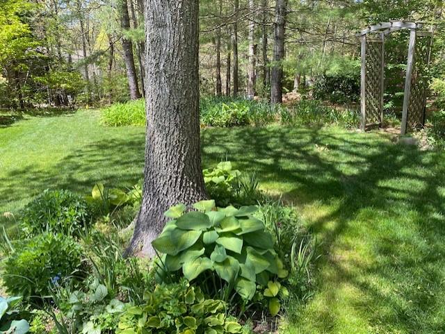85 Beach Road Orleans, MA 02653 - Photo 17 of 26