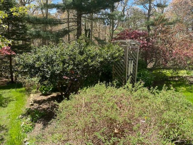 85 Beach Road Orleans, MA 02653 - Photo 21 of 26 a close up of a plant in a garden