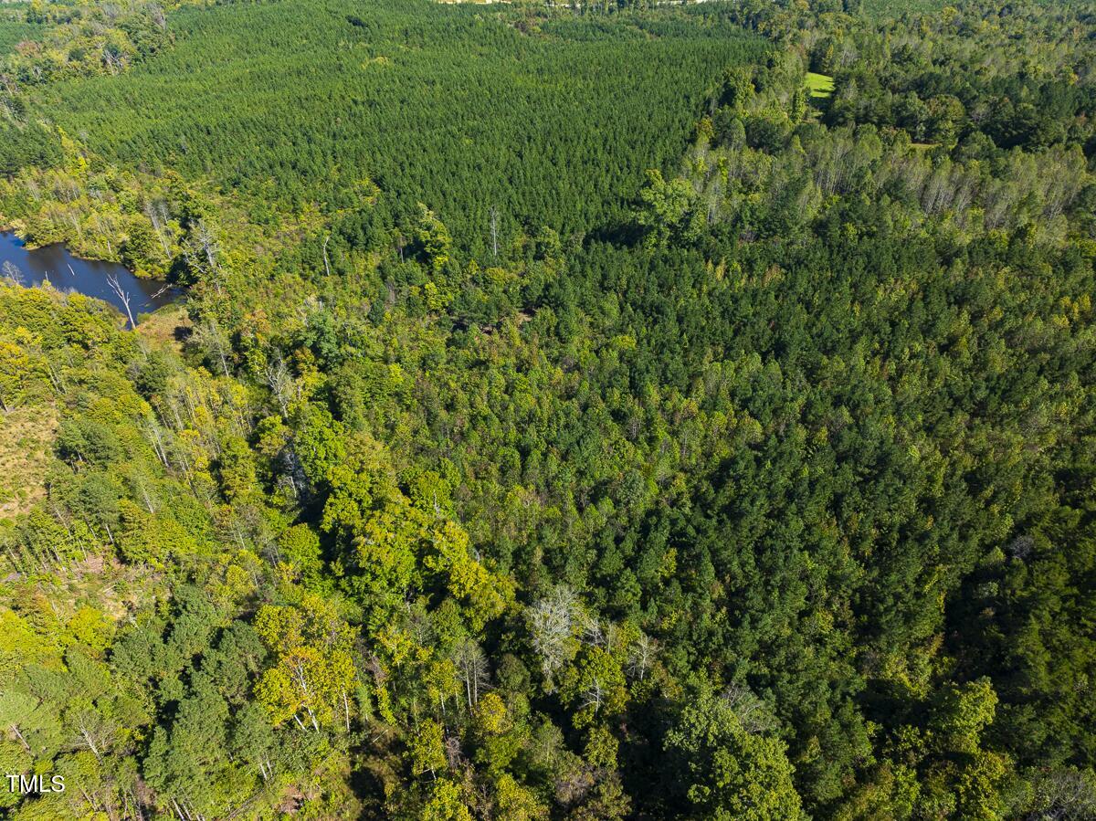 Lot-8-00 Wilson Road Providence, NC 27315 - Photo 16 of 45 Caswell Co. NC 16.55-Backwoods-Lot 8-16