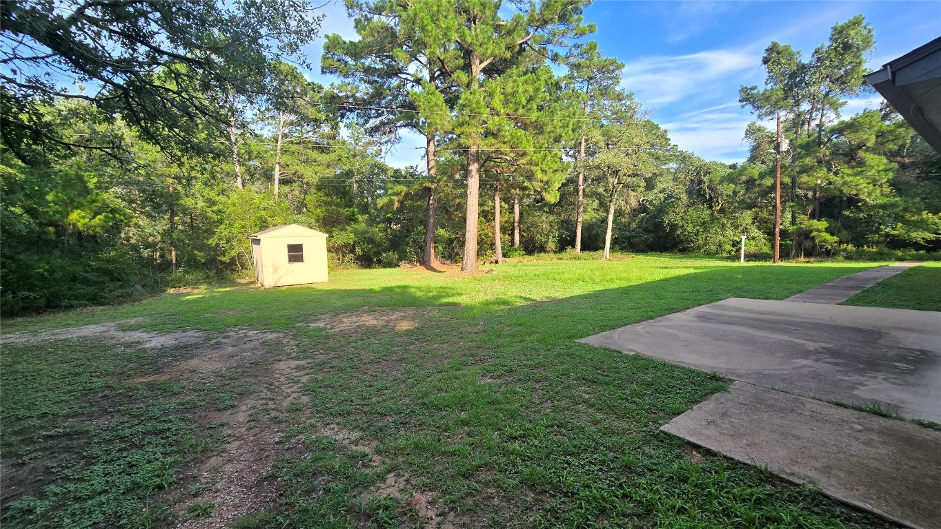 365 Pine Tree Loop Bastrop, TX 78602 - Photo 20 of 22 a view of a tree in a yard