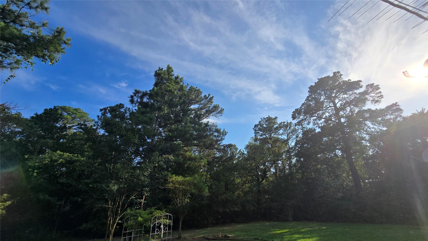 365 Pine Tree Loop Bastrop, TX 78602 - Photo 2 of 22 a backyard of a house with lots of green space