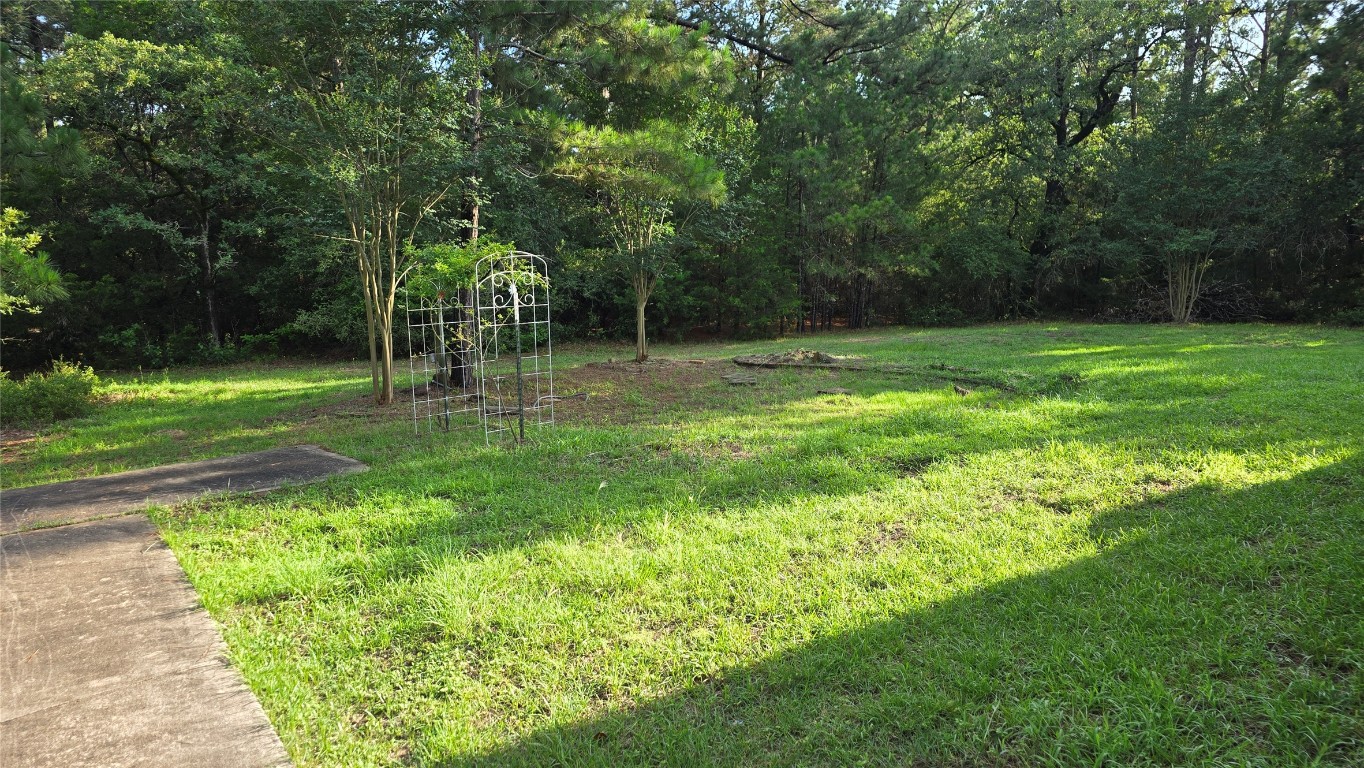 365 Pine Tree Loop Bastrop, TX 78602 - Photo 22 of 22