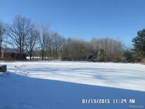 77045 McFadden Road Armada, MI 48005 - Photo 13 of 14 Yard.jpg