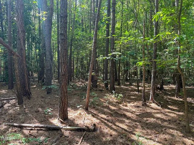 $89,000 | 27 Highway 24, Eagle Springs, NC 27242