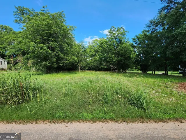 a view of a green field with trees in the background