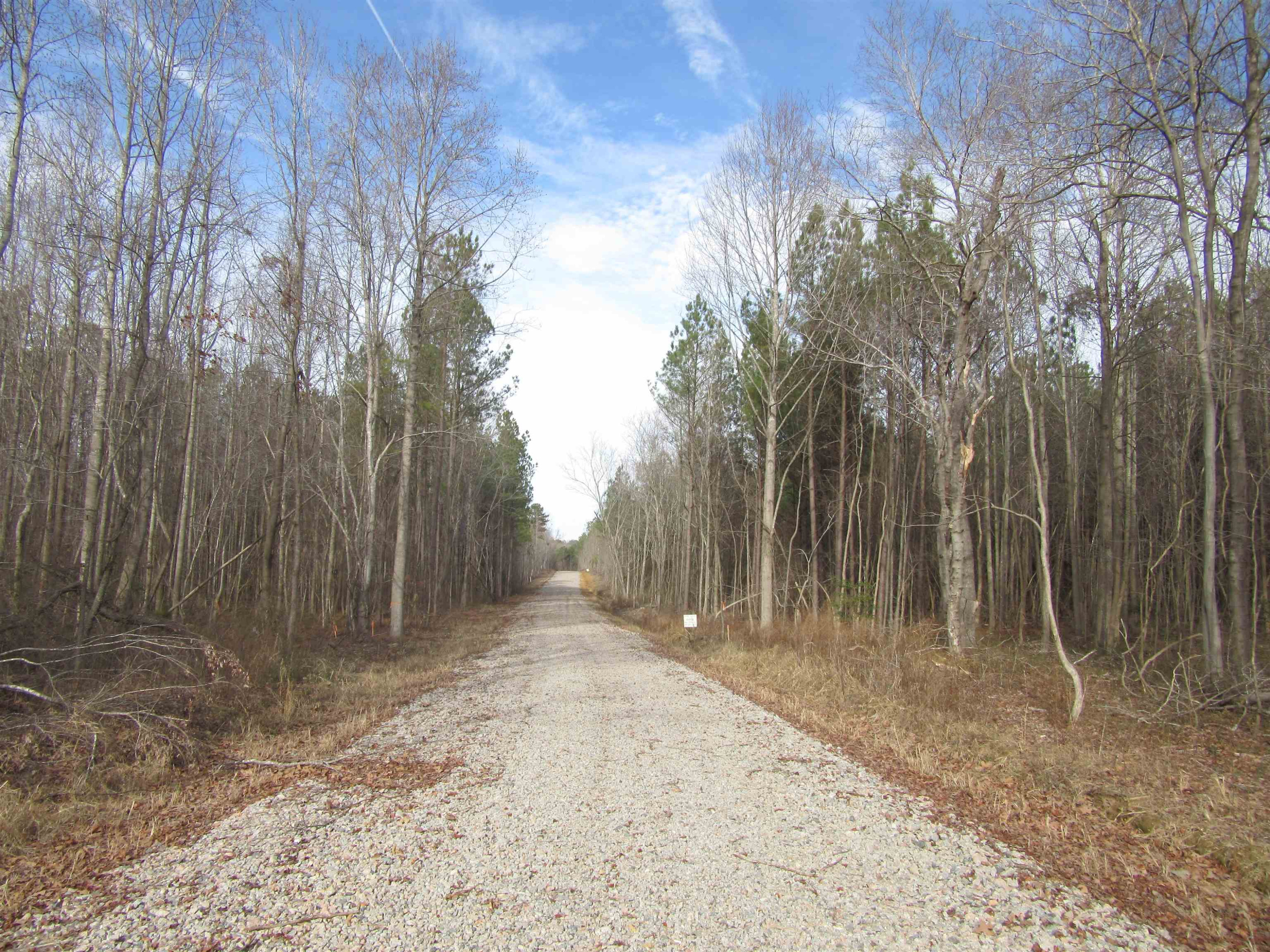 2 Nc 231 Hwy Spring Spring Hope, NC 27882 - Photo 1 of 3 a view of backyard with trees