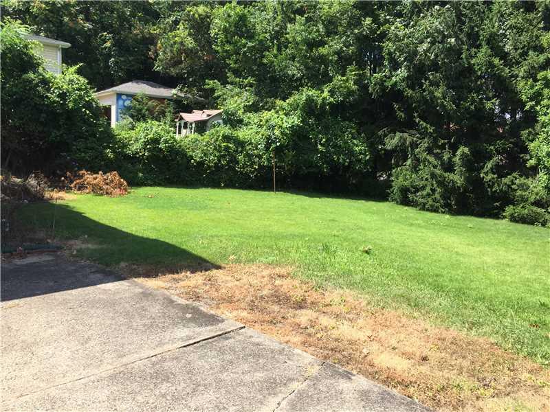 317 Hawthorne Road Pittsburgh, PA 15209 - Photo 10 of 13 Yard/Garden.
