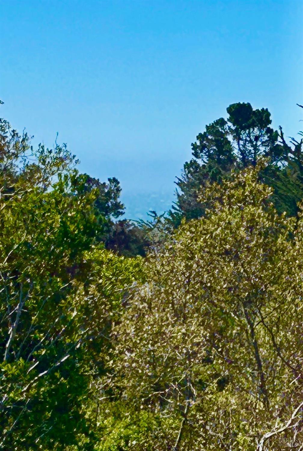 41322 Tallgrass The Sea Ranch, CA 95497 - Photo 3 of 34 Gallery Image 3