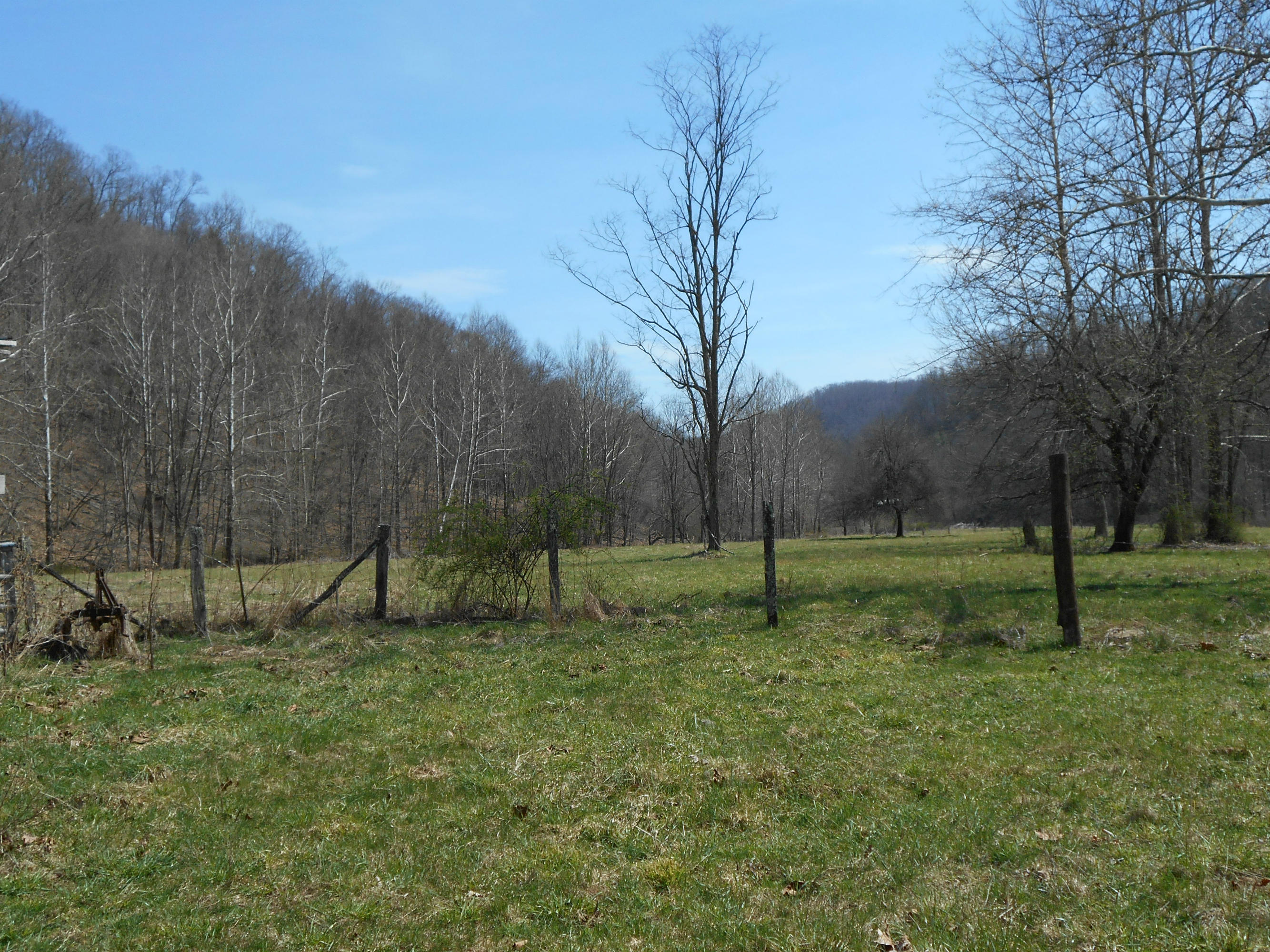 Hc67 Robins Fork Road Renick, WV 24966 - Photo 10 of 26 Gallery Image 10