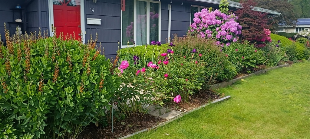 14 Ridgefield Drive Framingham, MA 01701 - Photo 4 of 37