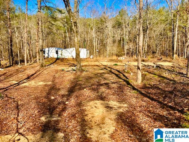 241 Valley Creek Road Piedmont, AL 36272 - Photo 5 of 13