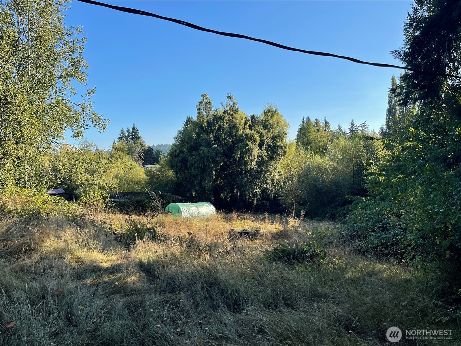 16460 Scandia Road Northwest Poulsbo, WA 98370 - Photo 29 of 33 a view of a yard