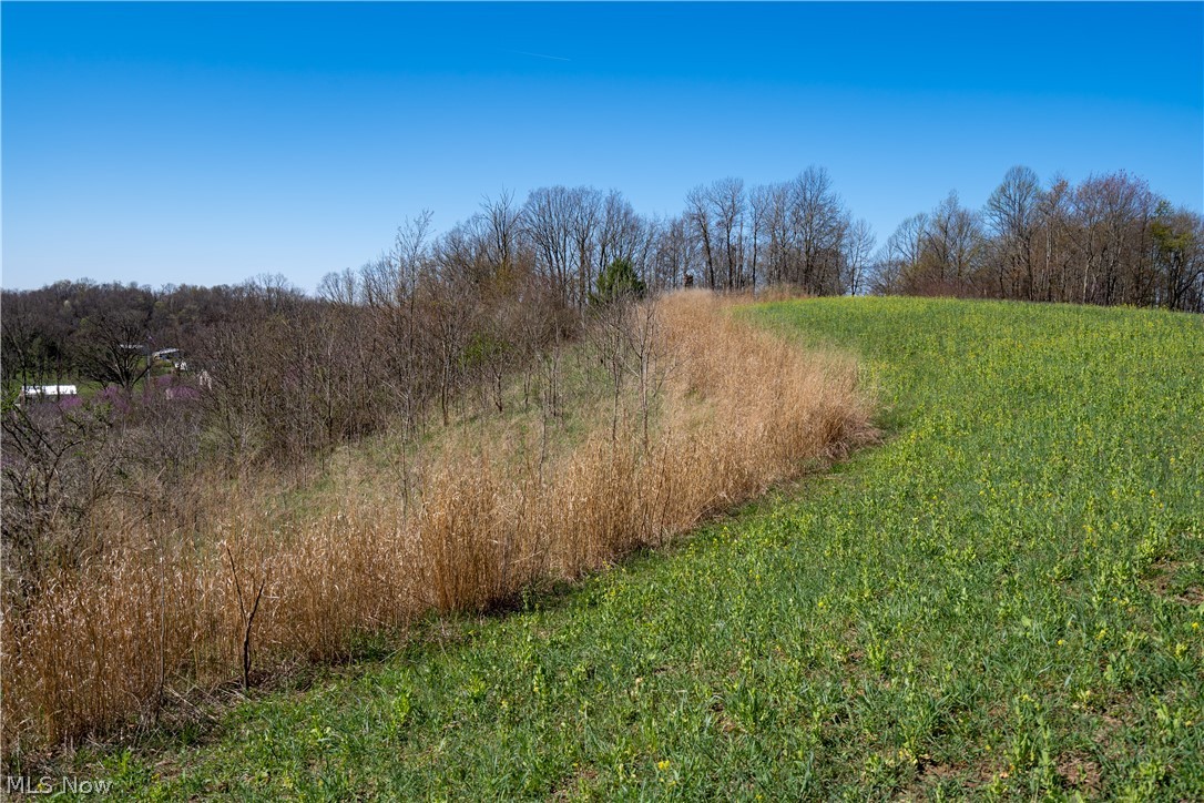 Sealover Hollow Rd Road Philo, OH 43771 - Photo 11 of 36
