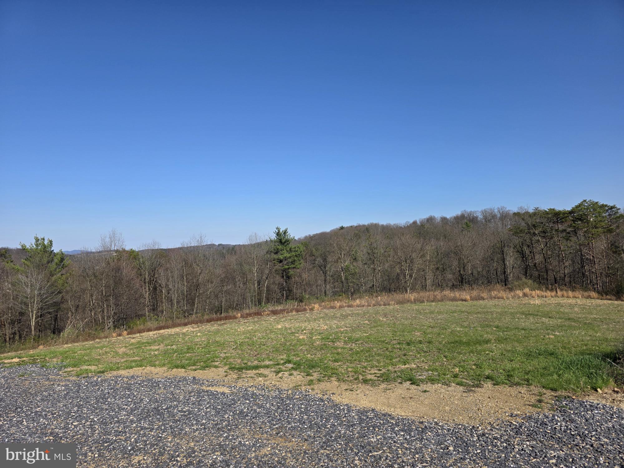 3903 Dressler Ridge Road Mount Pleasant Mills, PA 17853 - Photo 4 of 15 a view of a field with a tree in the background