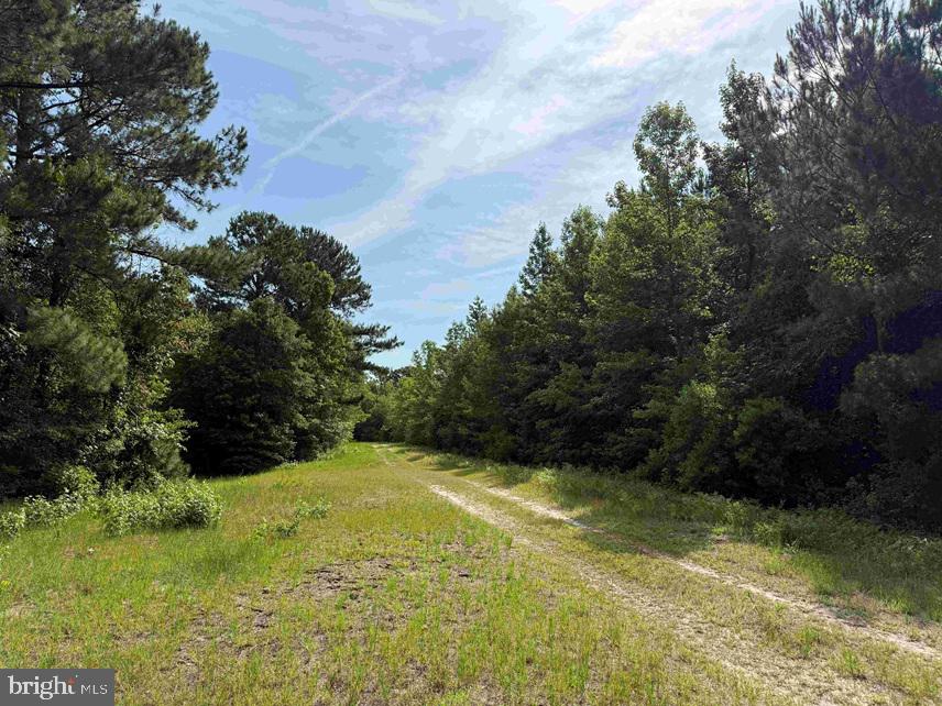 Sarecta Road Kenansville, NC 28349 - Photo 17 of 28