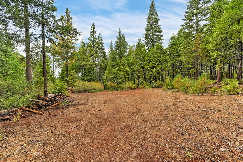 700 Lovers Leap Road Alta, CA 95701 - Photo 43 of 46