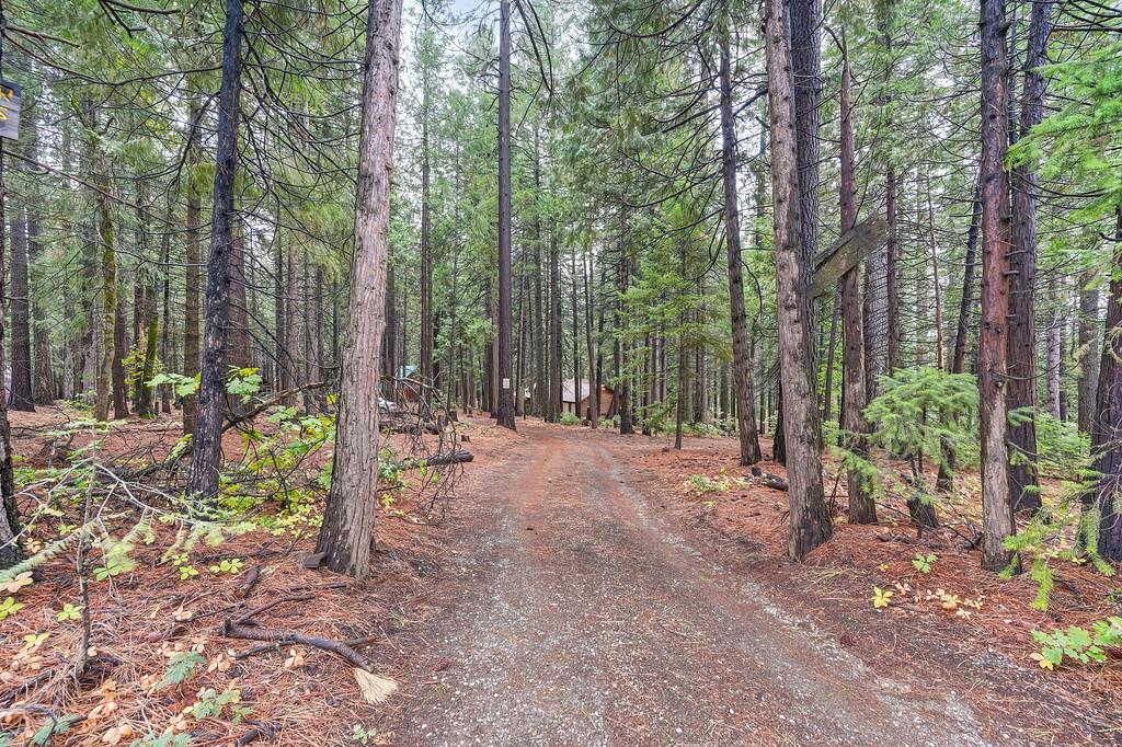 700 Lovers Leap Road Alta, CA 95701 - Photo 6 of 46