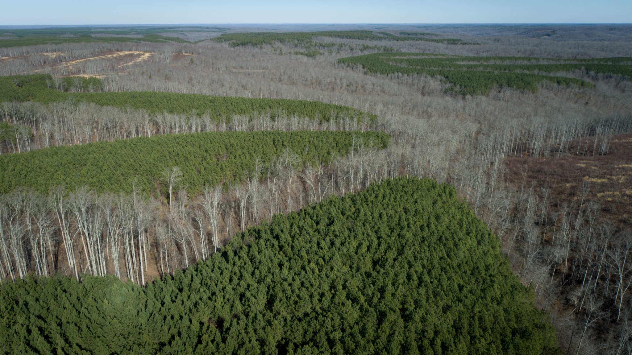 0 Copperas Branch Road Centerville, TN 37033 - Photo 15 of 20 a view of a lake with a yard