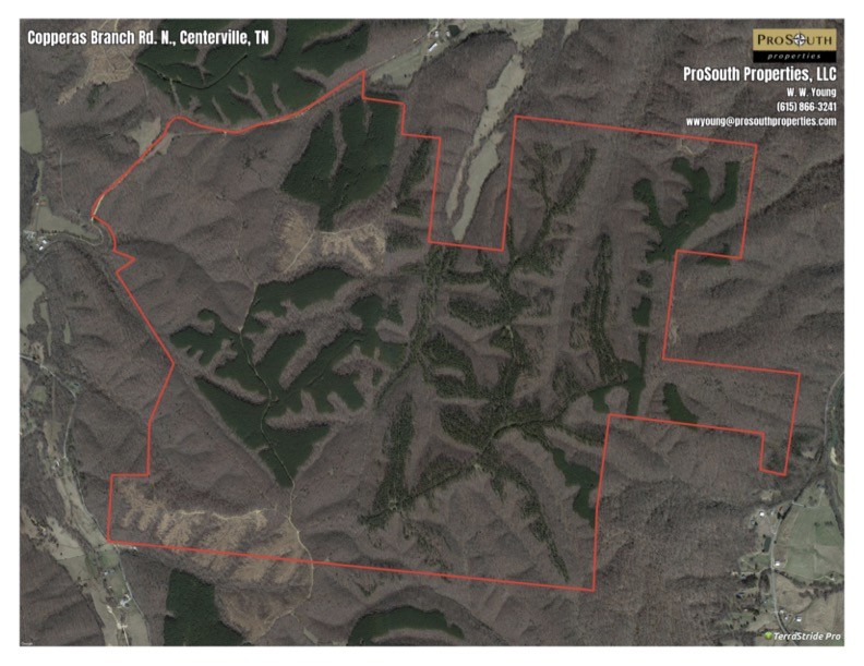 0 Copperas Branch Road Centerville, TN 37033 - Photo 16 of 20 a bird view of a house