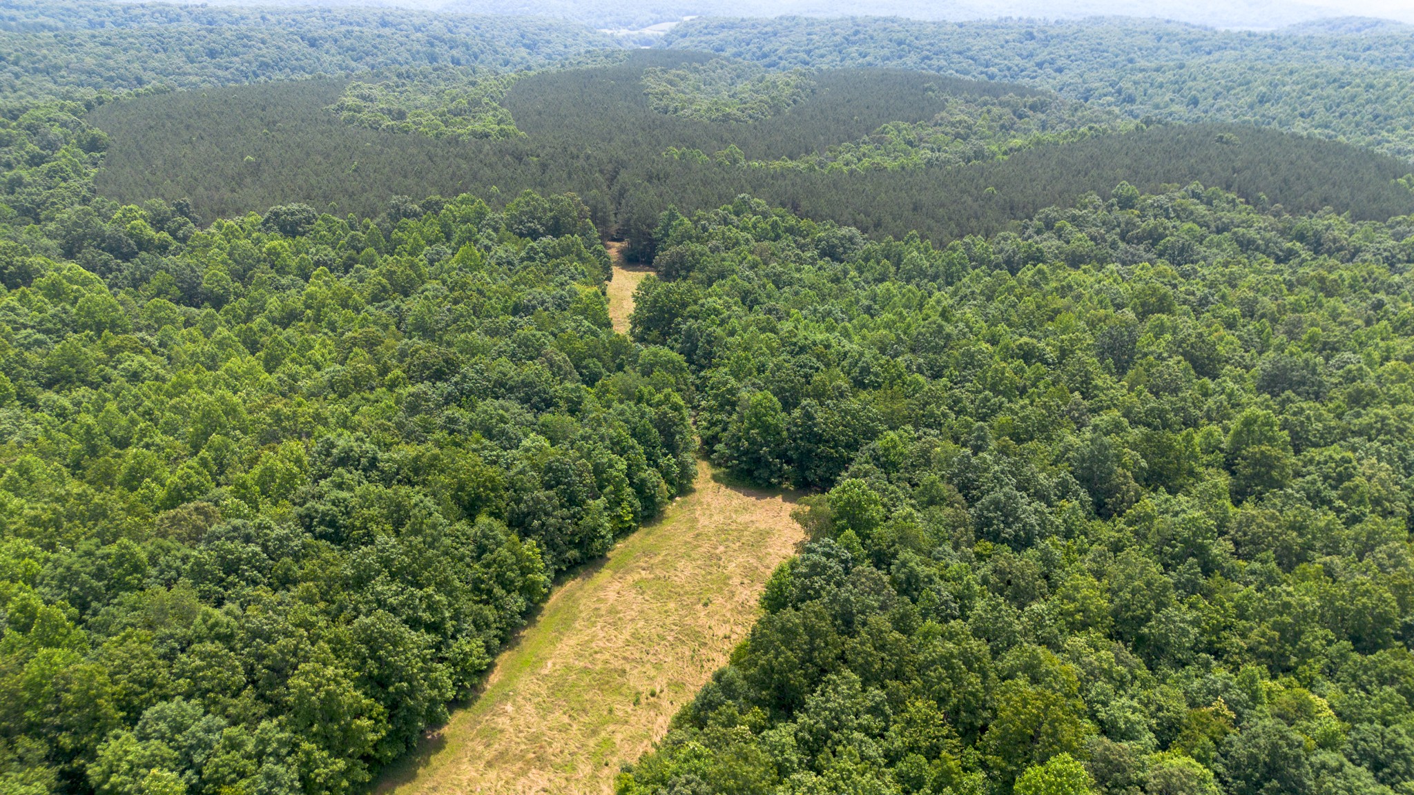 0 Copperas Branch Road Centerville, TN 37033 - Photo 3 of 20 a view of a yard