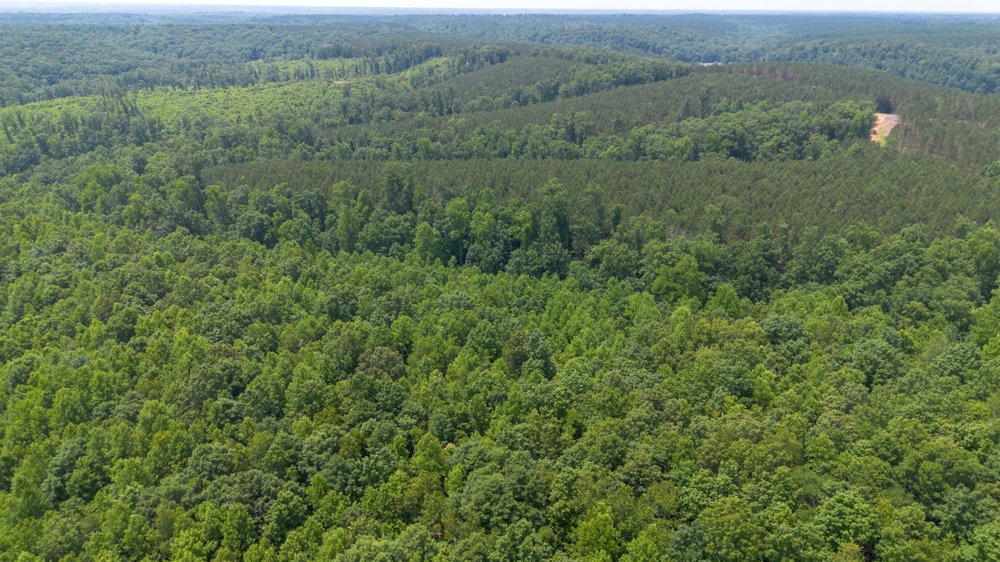 0 Copperas Branch Road Centerville, TN 37033 - Photo 5 of 20 a view of a field of grass and trees