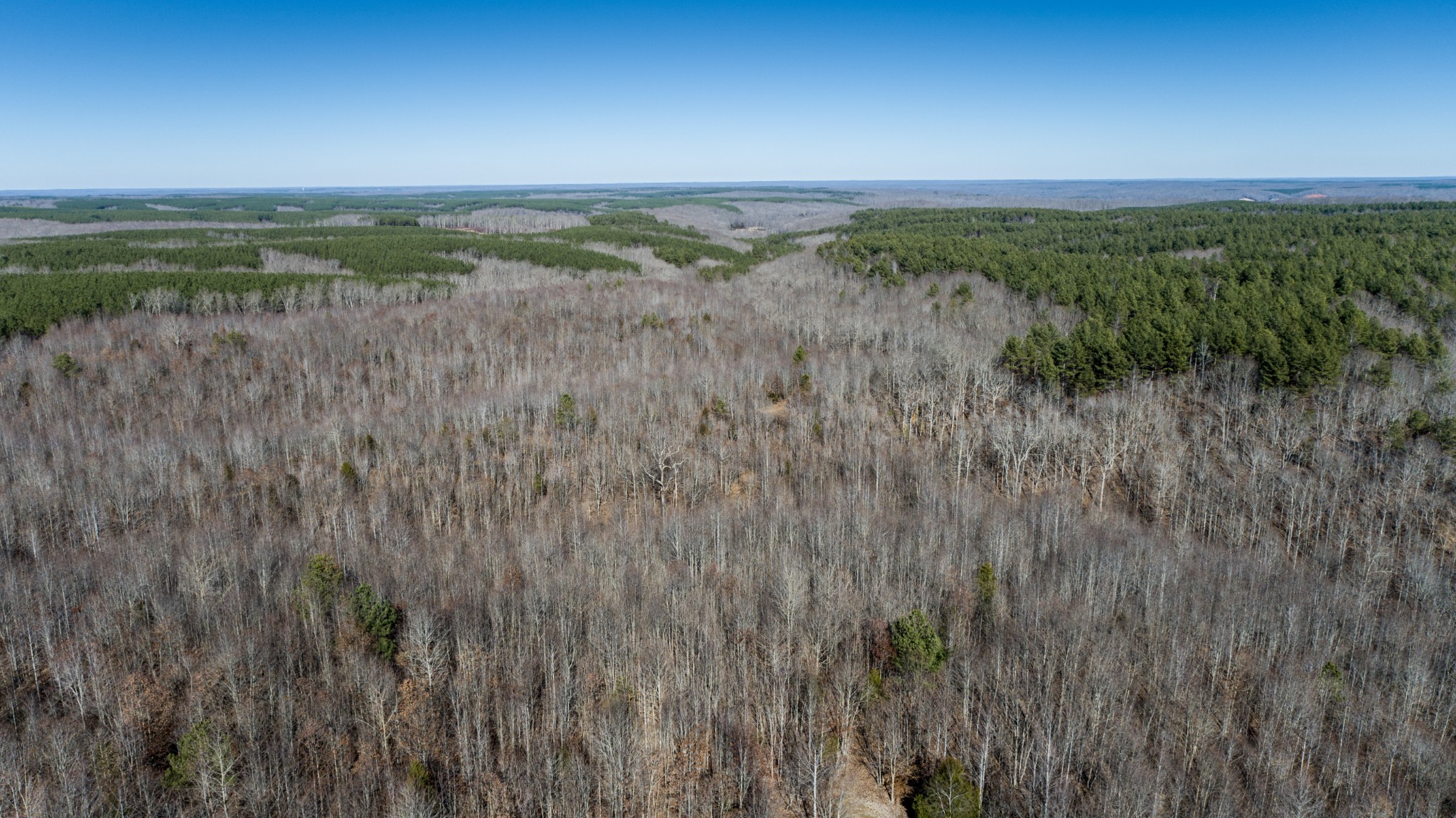 0 Copperas Branch Road Centerville, TN 37033 - Photo 10 of 20 a view of a lush green space with sea