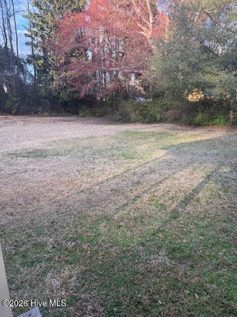 1907 Anthony Avenue Rockingham, NC 28379 - Photo 17 of 19 IMG_1334