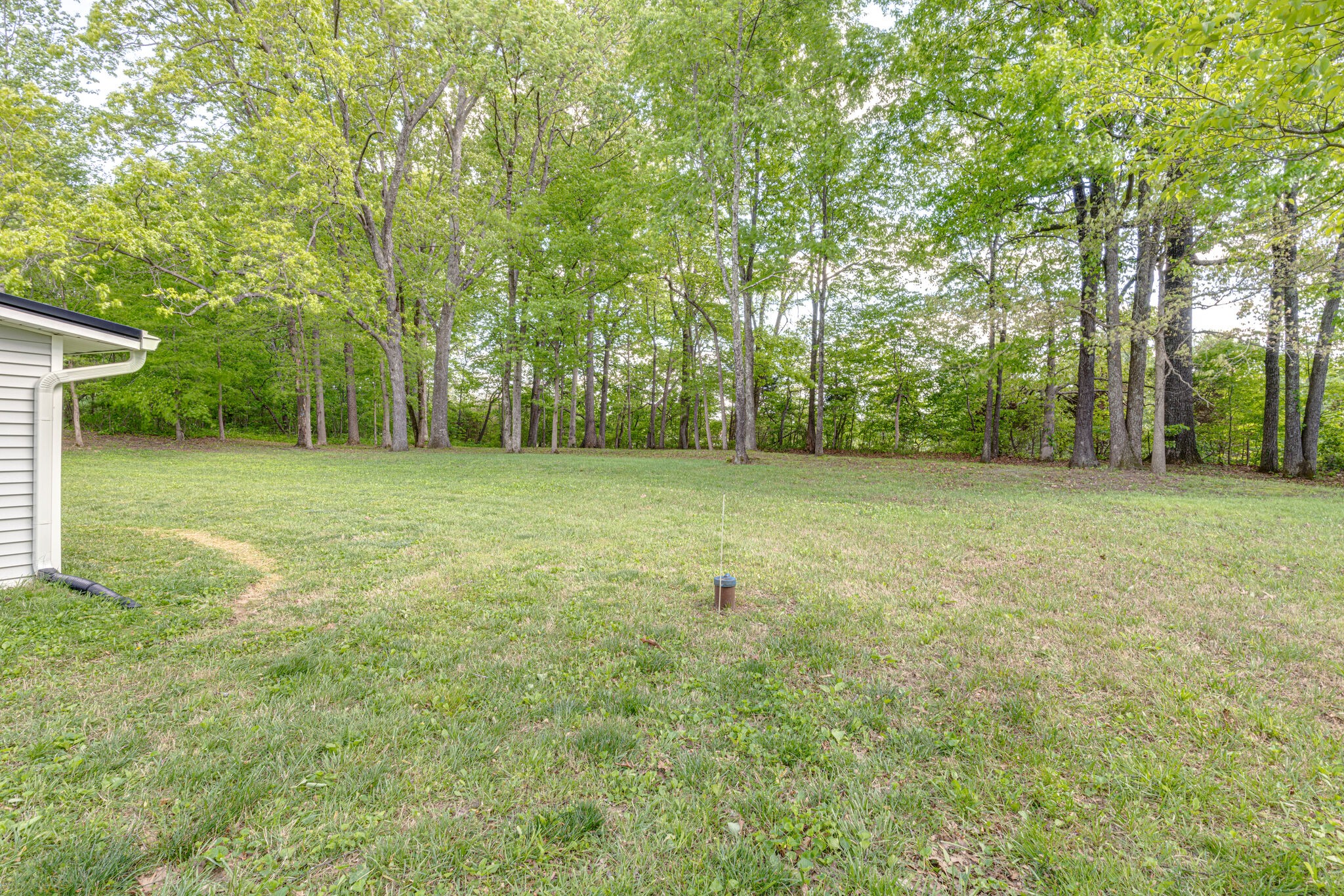 7357 Peaceful Acres Road Greenbrier, TN 37073 - Photo 25 of 27 a view of a big yard with trees in the background