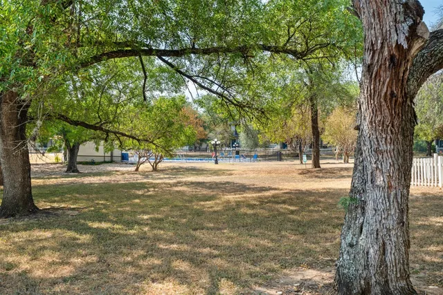 a view of a tree in a yard