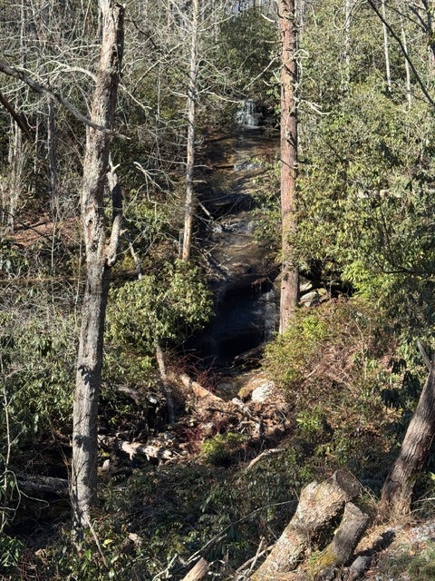 7 Wandering Ridge Cashiers, NC 28717 - Photo 10 of 14 Gallery Image 10
